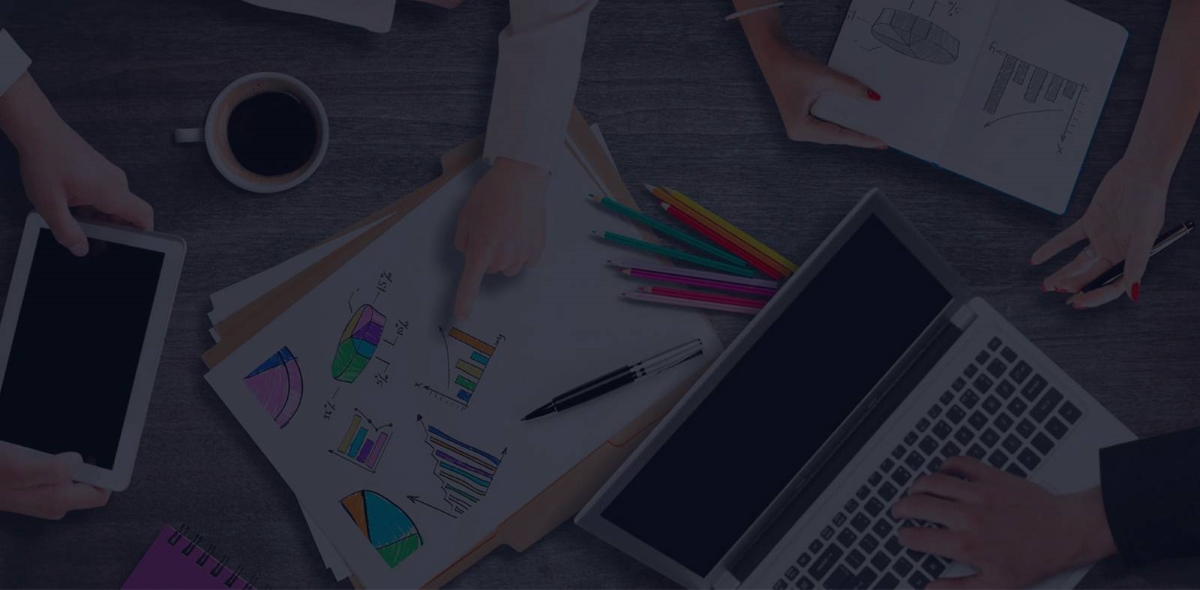 Saralnet Website Design