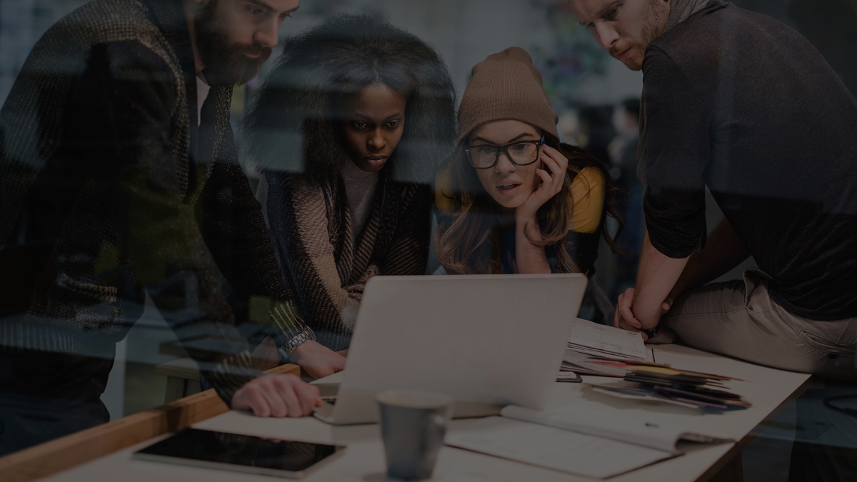 Saralnet Website Developement